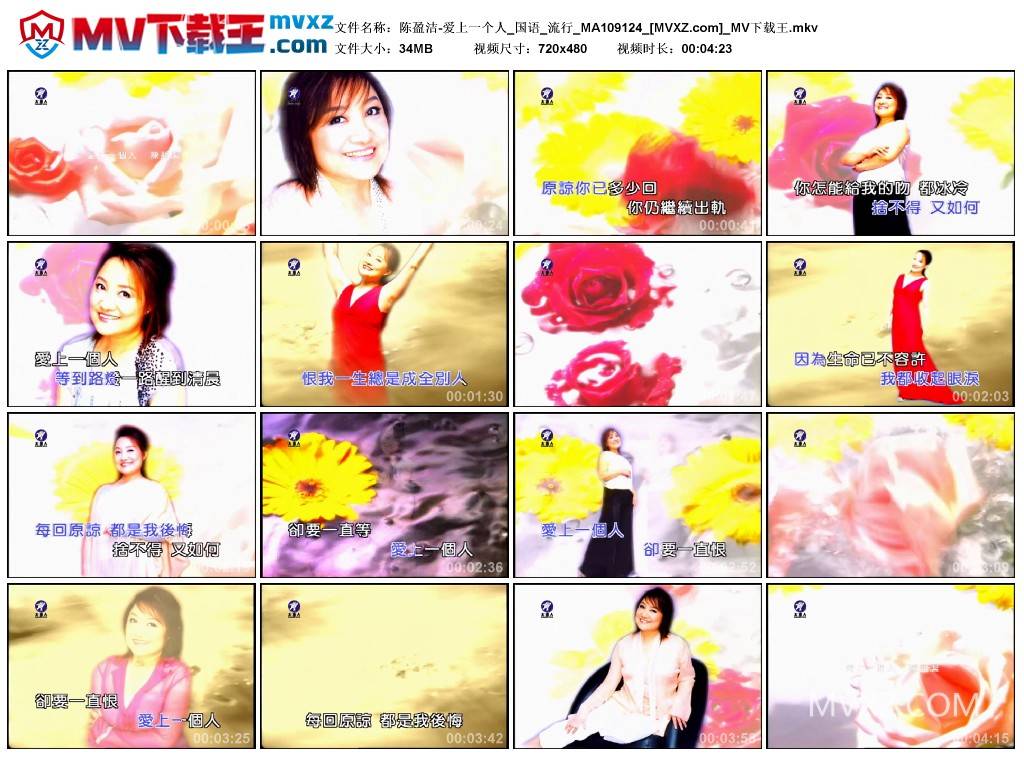 陈盈洁-爱上一个人_国语_流行_MA109124